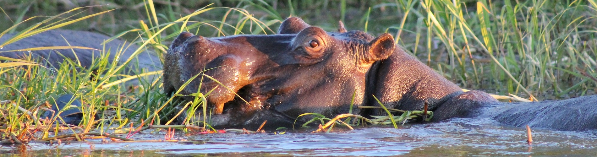 UGANDA RUNDREISE